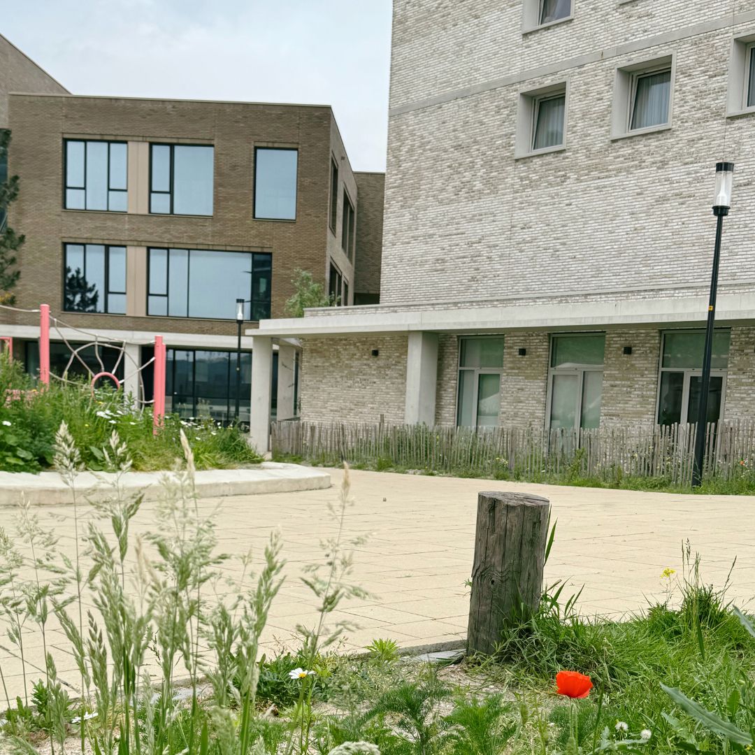 RIANT sportzaal De Duinvlinder school Almere