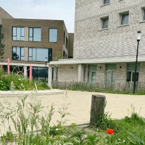 RIANT sportzaal De Duinvlinder school Almere
